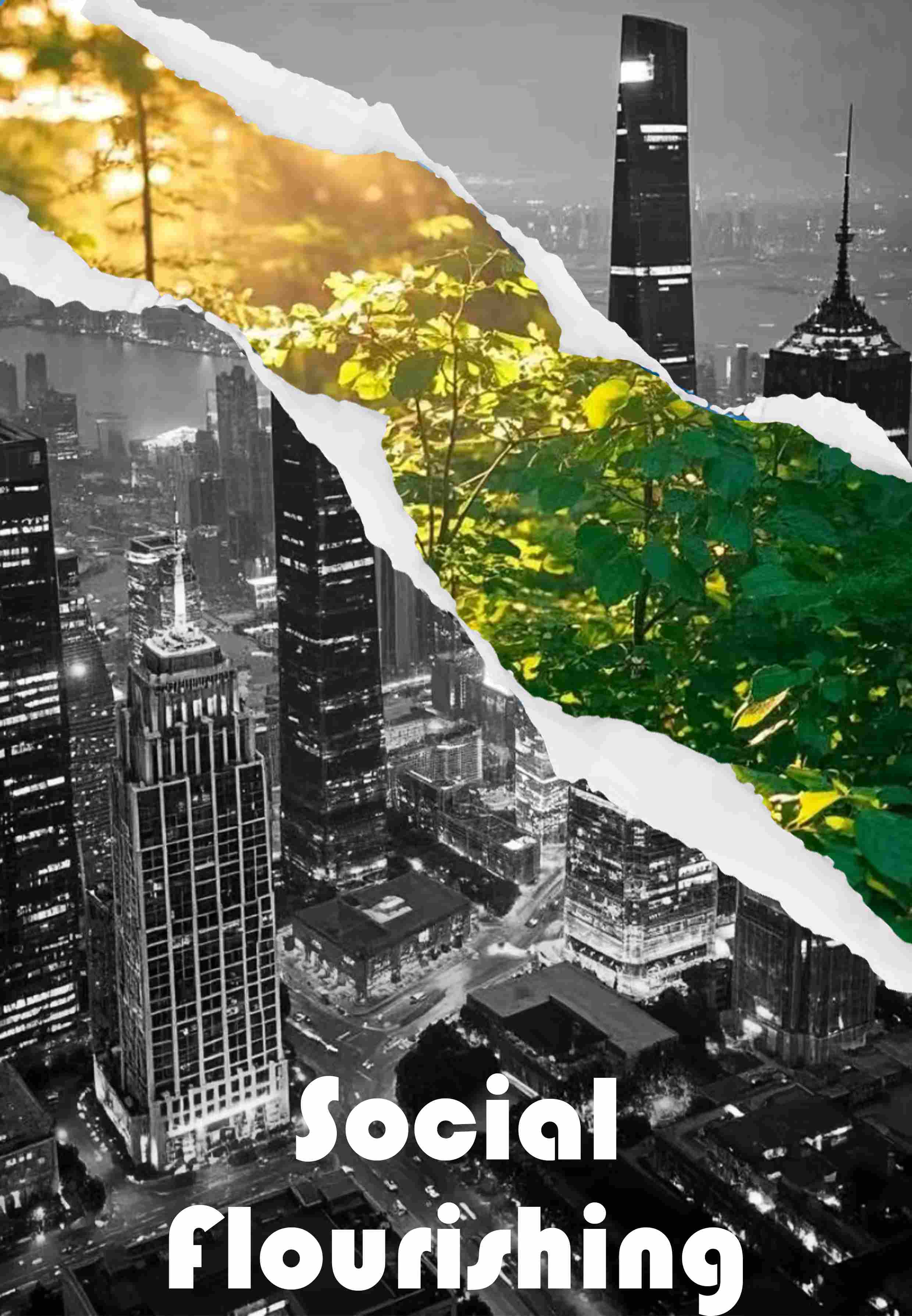 Social Flourishing's cover image.