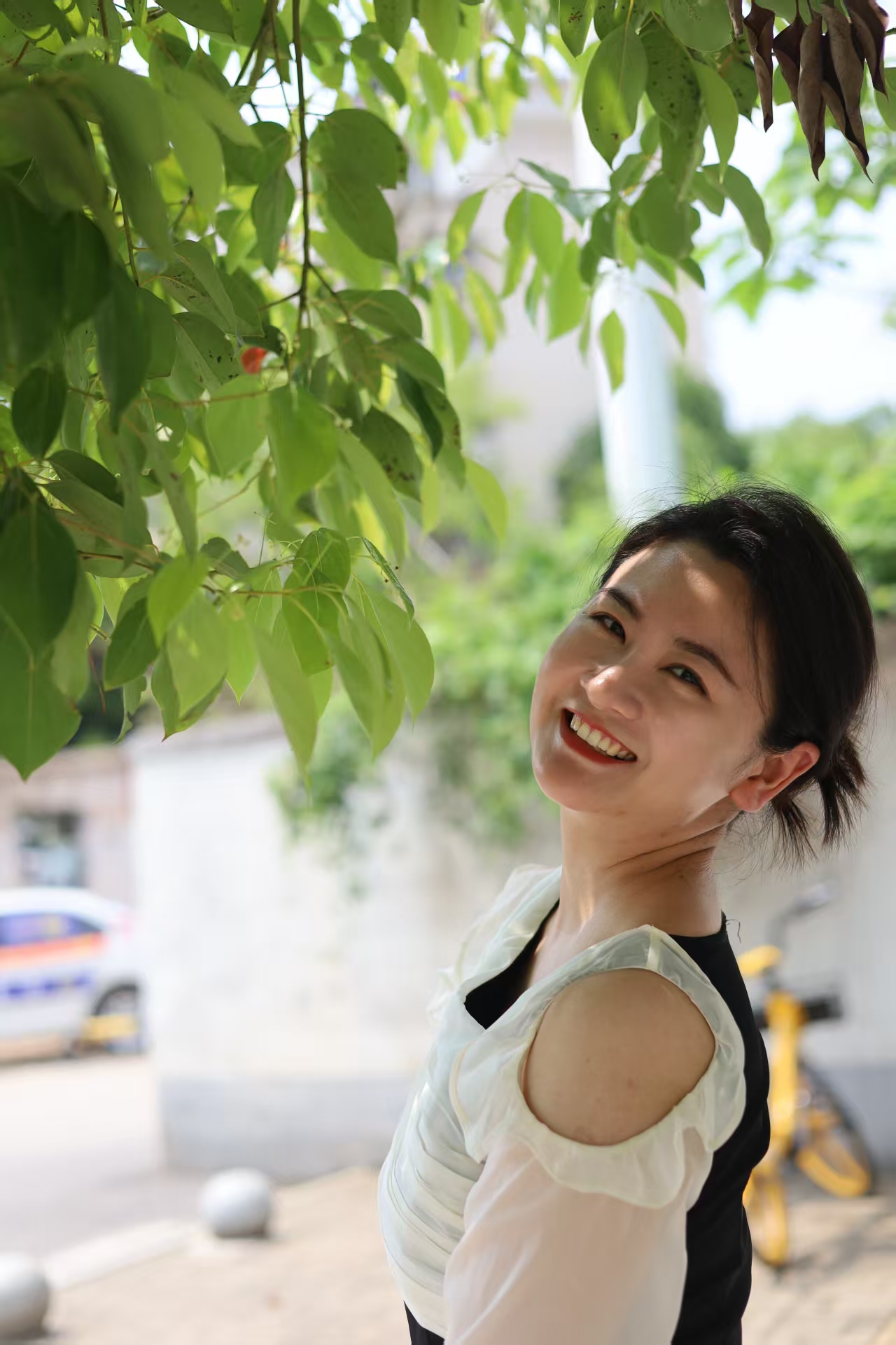 Profile picture for Pan Jin